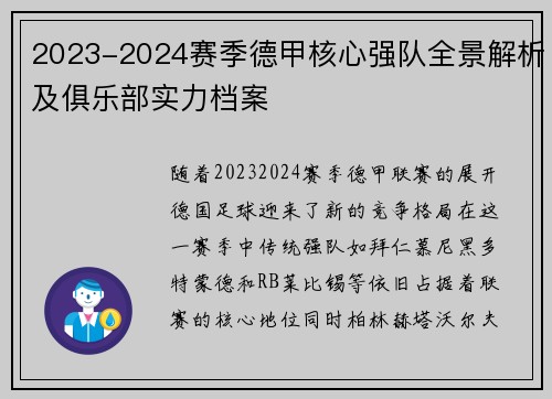 2023-2024赛季德甲核心强队全景解析及俱乐部实力档案